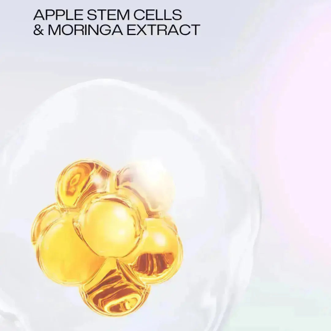 Stem Cells Illuminating Serum